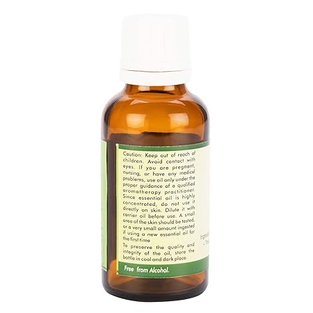 Ginger Essential Oil